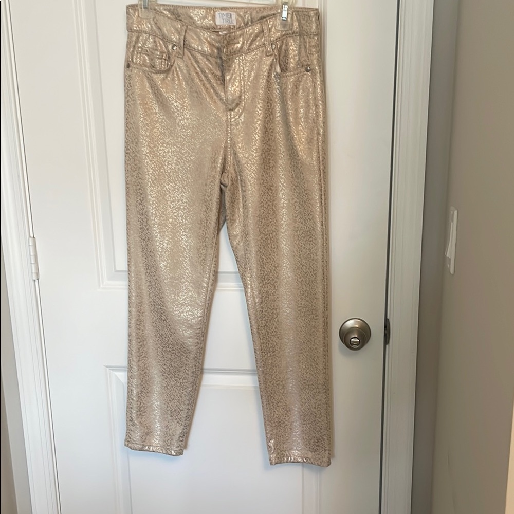 Time and Tru Metallic Beige Pants